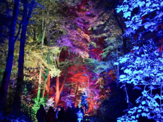 Herbstlichter Brückenkopfpark Jülich Herbstlichter Brückenkopfpark Jülich