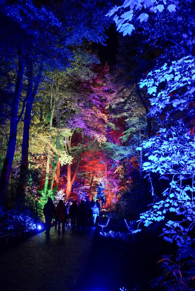 Herbstlichter Br&uuml;ckenkopfpark J&uuml;lich