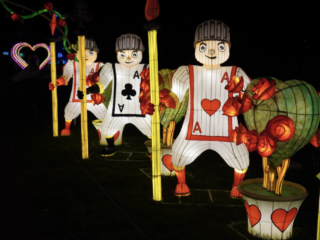 Garden of Lights Garden of Lights