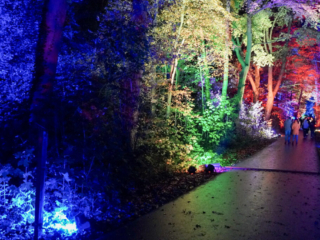 Herbstlichter Brückenkopfpark Jülich Herbstlichter Brückenkopfpark Jülich