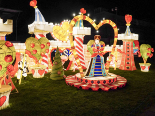 Garden of Lights Garden of Lights