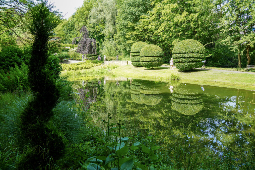 El Mundo Fantasia - Mondo Verde