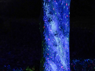 Herbstlichter Brückenkopfpark Jülich Herbstlichter Brückenkopfpark Jülich
