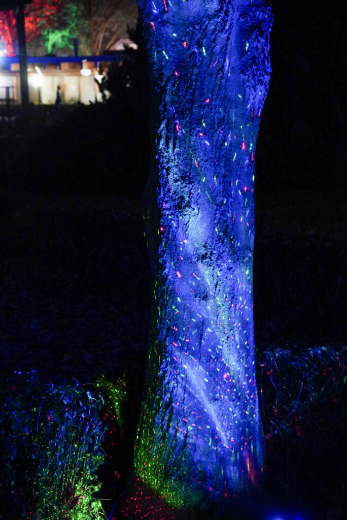 Herbstlichter Br&uuml;ckenkopfpark J&uuml;lich