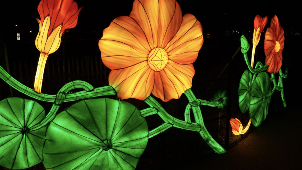 China Lights im K&ouml;lner Zoo