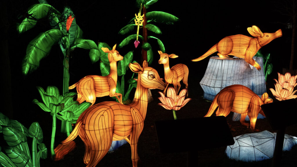 China Lights im K&ouml;lner Zoo