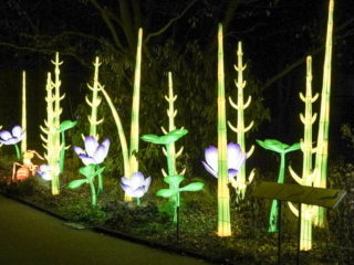 China Lights im K&ouml;lner Zoo