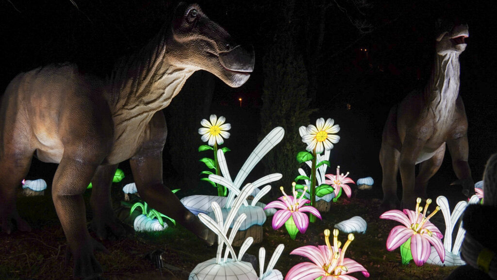 China Lights im K&ouml;lner Zoo