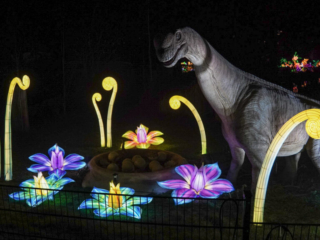 China Lights im K&ouml;lner Zoo