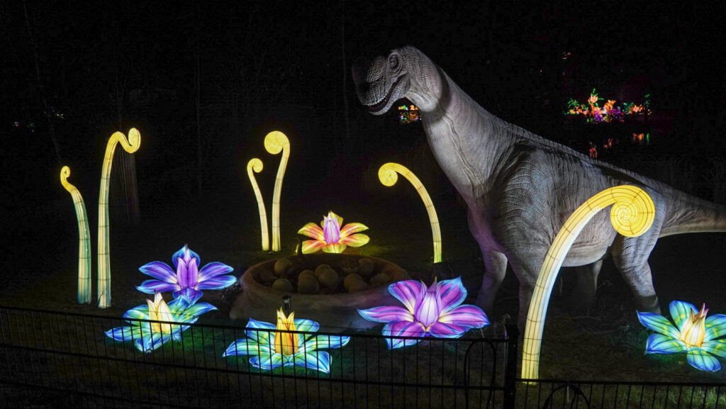 China Lights im K&ouml;lner Zoo