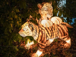 China Lights im K&ouml;lner Zoo