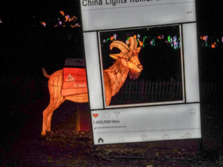China Lights im K&ouml;lner Zoo