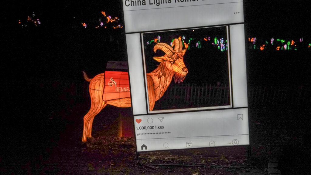 China Lights im K&ouml;lner Zoo