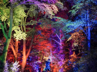 Herbstlichter Brückenkopfpark Jülich Herbstlichter Brückenkopfpark Jülich
