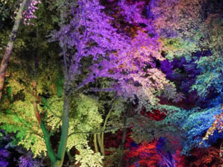 Herbstlichter Brückenkopfpark Jülich Herbstlichter Brückenkopfpark Jülich