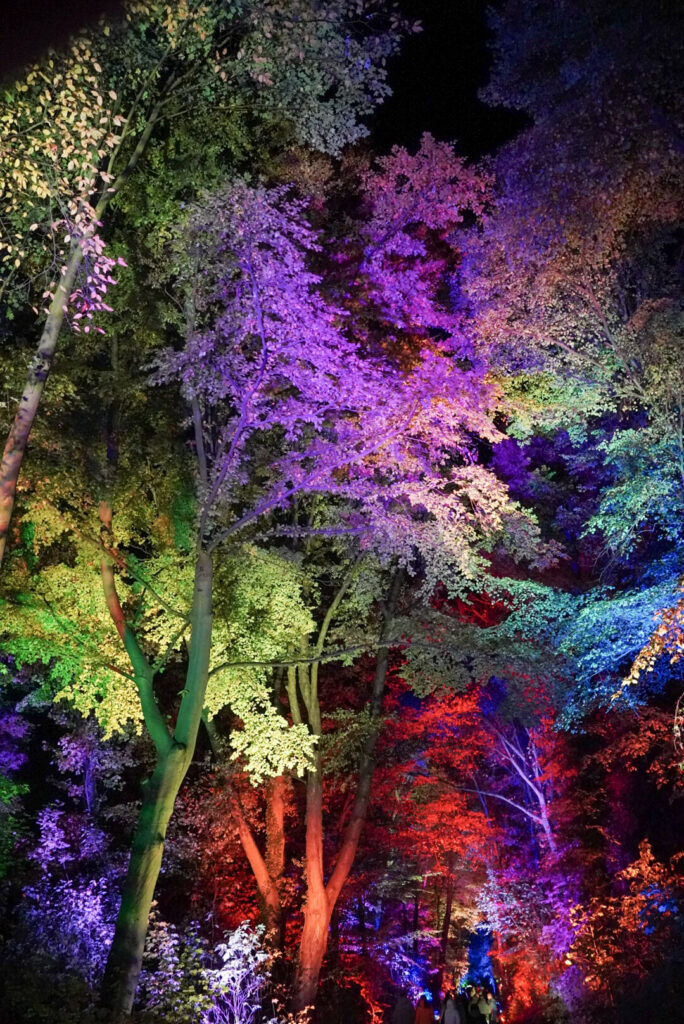 Herbstlichter Br&uuml;ckenkopfpark J&uuml;lich