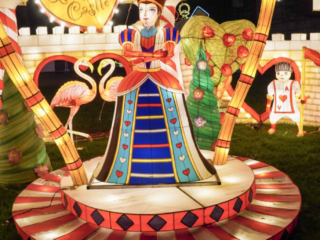 Garden of Lights Garden of Lights