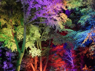 Herbstlichter Brückenkopfpark Jülich Herbstlichter Brückenkopfpark Jülich