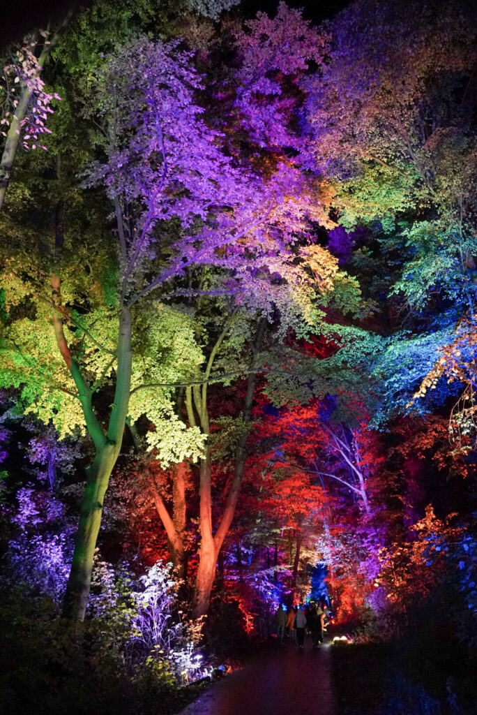 Herbstlichter Br&uuml;ckenkopfpark J&uuml;lich