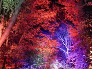 Herbstlichter Brückenkopfpark Jülich Herbstlichter Brückenkopfpark Jülich