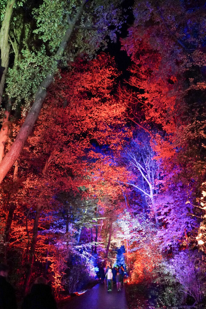Herbstlichter Br&uuml;ckenkopfpark J&uuml;lich