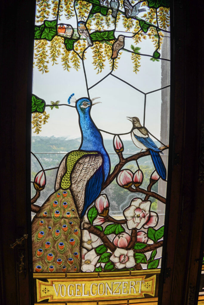 Bootsfahrt und Besuch des Drachenfelsens