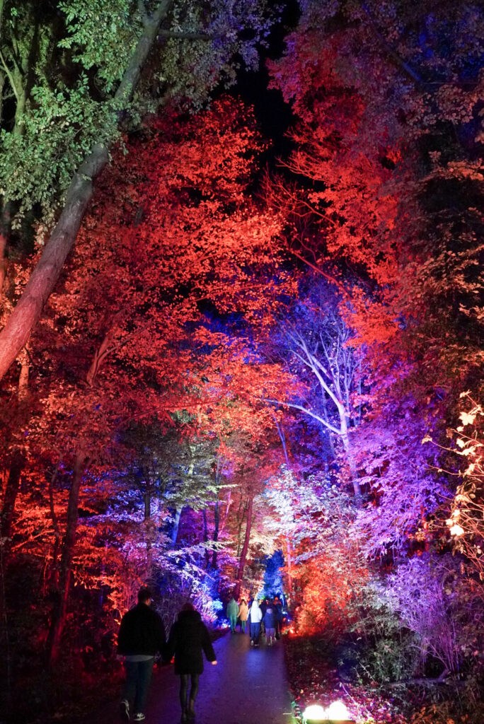 Herbstlichter Br&uuml;ckenkopfpark J&uuml;lich
