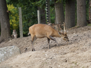 Burgers' Zoo