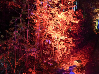 Herbstlichter Brückenkopfpark Jülich Herbstlichter Brückenkopfpark Jülich