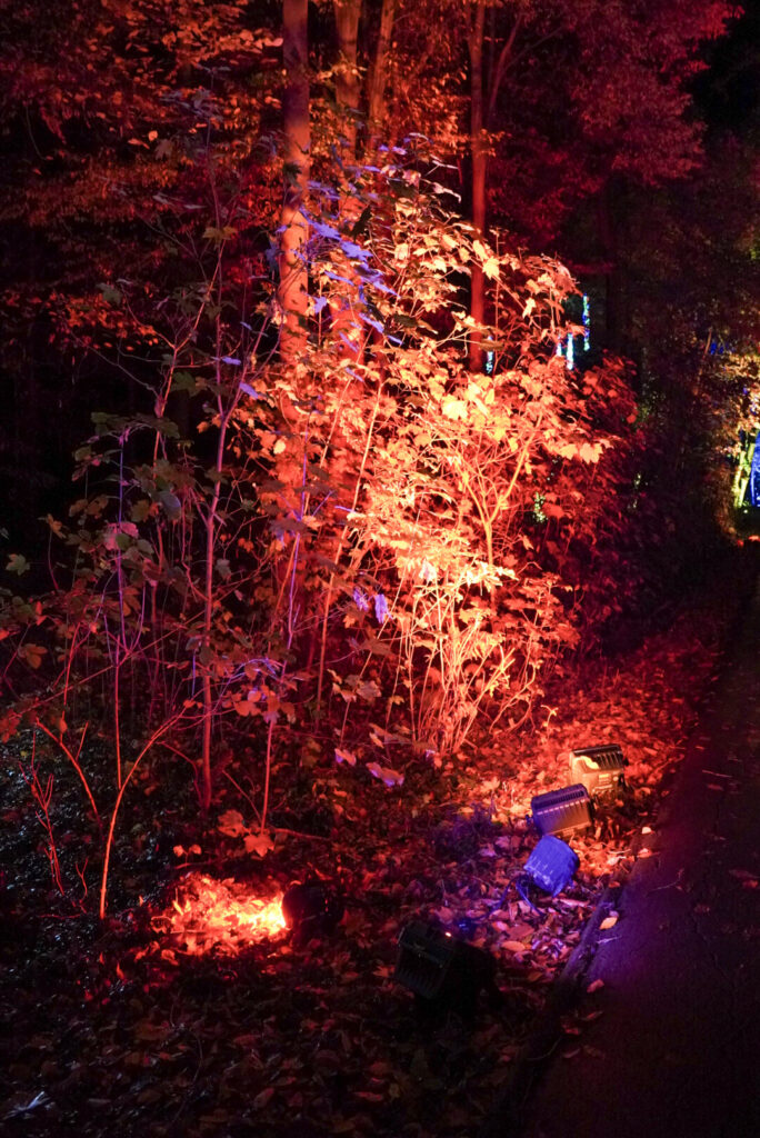 Herbstlichter Br&uuml;ckenkopfpark J&uuml;lich