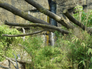 Burgers' Zoo