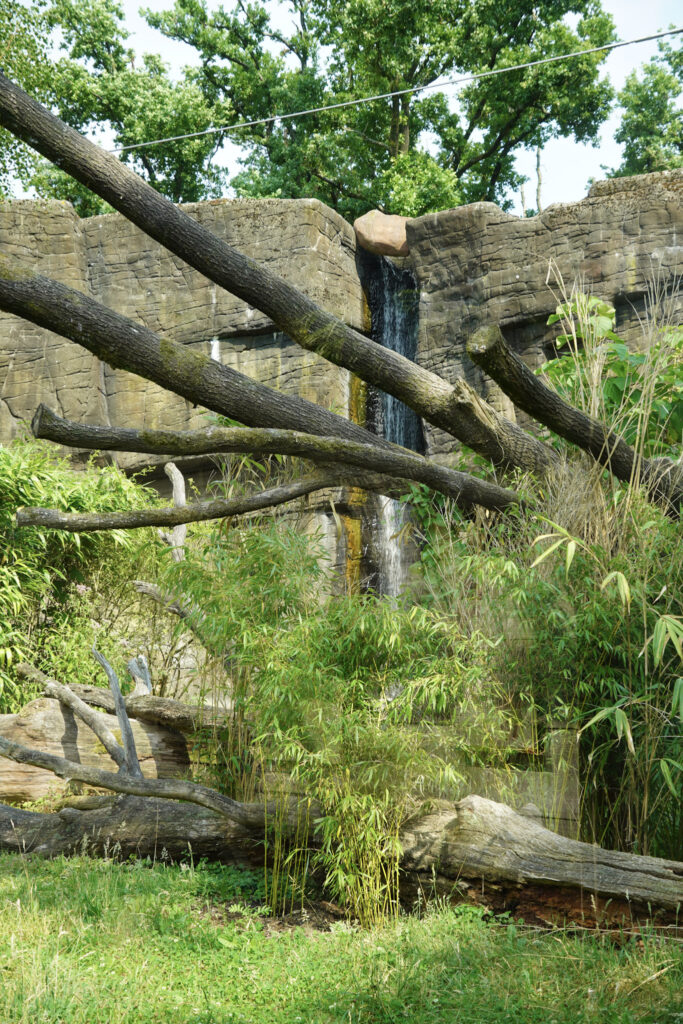 Burgers' Zoo Burgers' Zoo