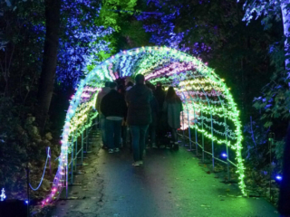 Herbstlichter Brückenkopfpark Jülich Herbstlichter Brückenkopfpark Jülich