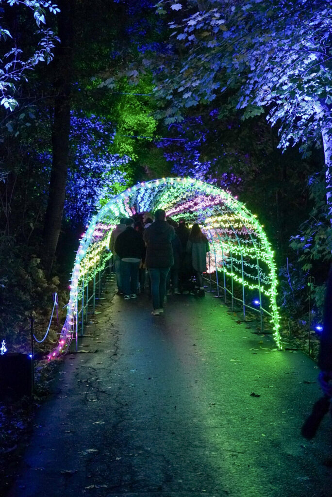 Herbstlichter Br&uuml;ckenkopfpark J&uuml;lich
