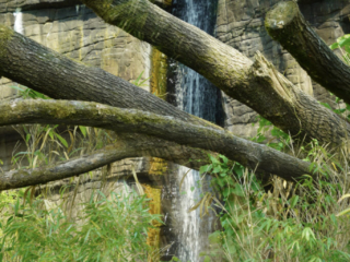 Burgers' Zoo