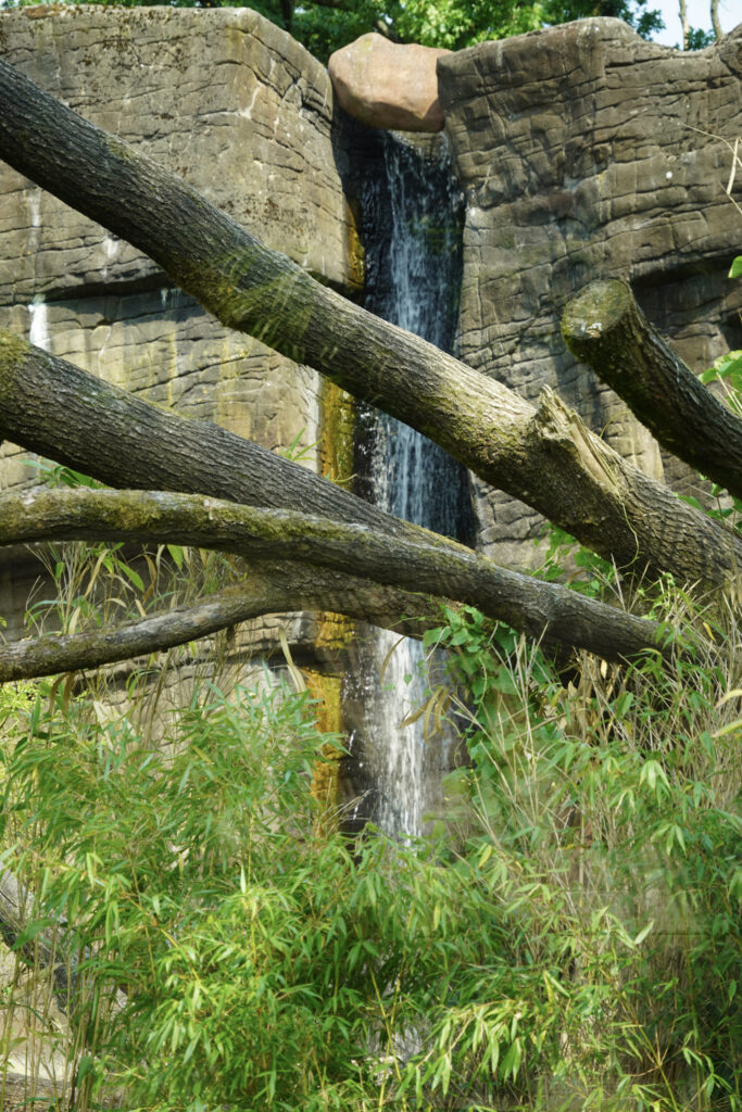 Burgers' Zoo Burgers' Zoo