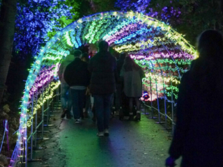 Herbstlichter Brückenkopfpark Jülich Herbstlichter Brückenkopfpark Jülich
