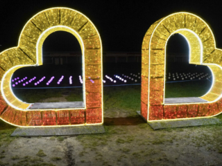 Garden of Lights Garden of Lights