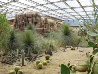 Burgers' Zoo