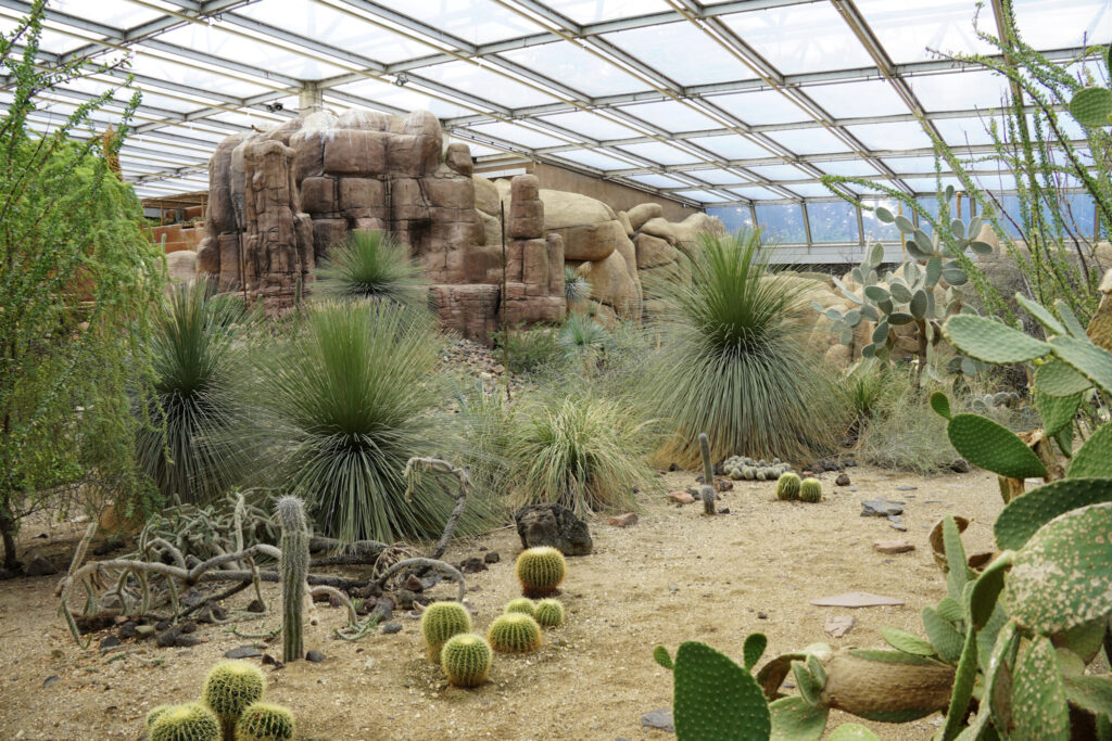 Burgers' Zoo Burgers' Zoo