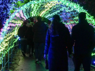 Herbstlichter Brückenkopfpark Jülich Herbstlichter Brückenkopfpark Jülich
