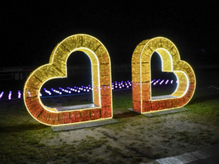 Garden of Lights Garden of Lights