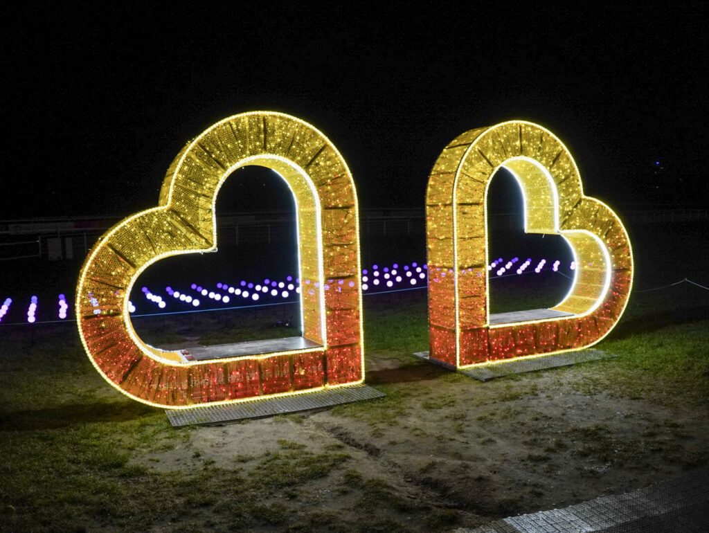 Garden of Lights