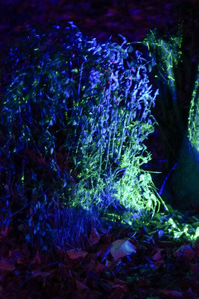 Herbstlichter Br&uuml;ckenkopfpark J&uuml;lich