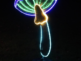 Garden of Lights Garden of Lights