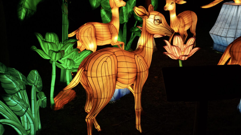 China Lights im K&ouml;lner Zoo