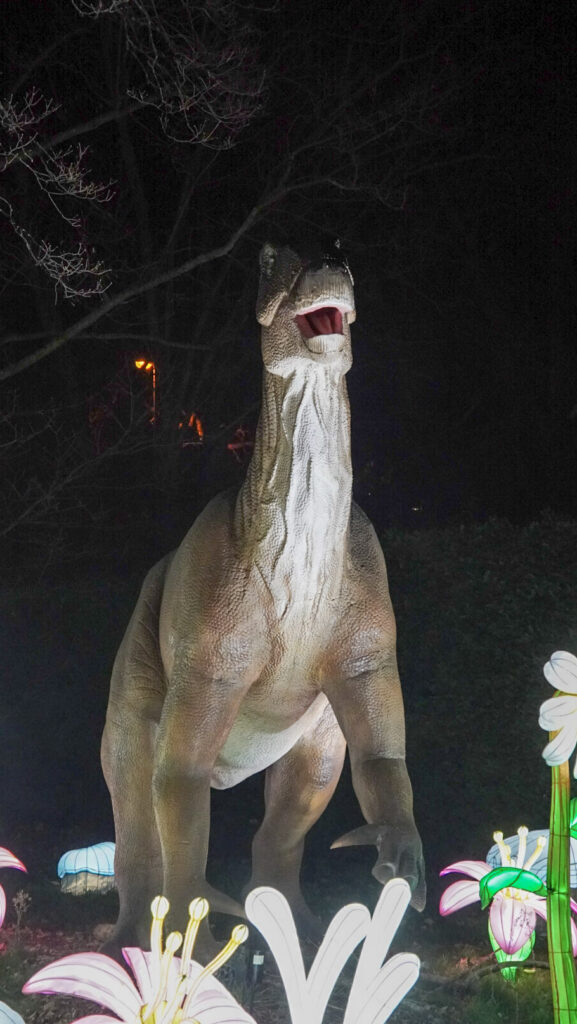 China Lights im K&ouml;lner Zoo