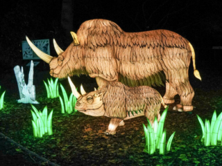 China Lights im K&ouml;lner Zoo