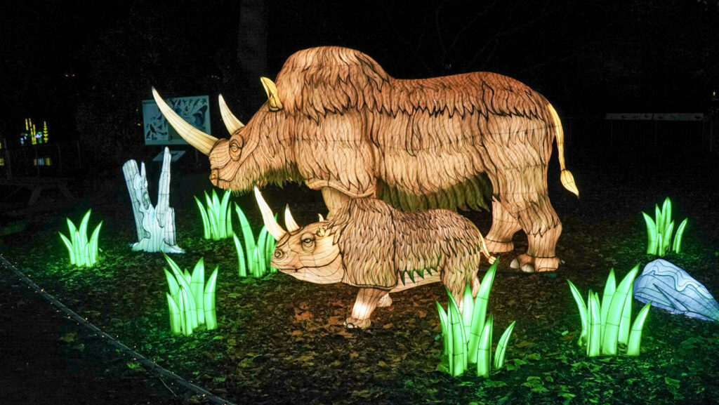 China Lights im K&ouml;lner Zoo