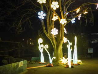 China Lights im K&ouml;lner Zoo